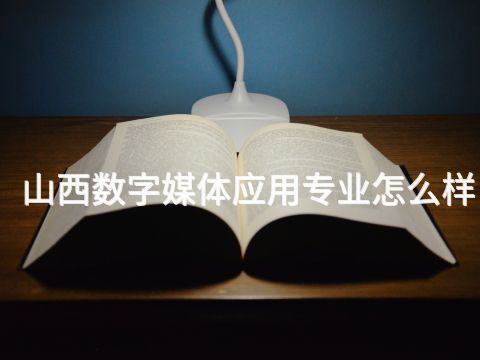 山西数字媒体应用专业怎么样(图1) 山西数字媒体应用专业怎么样(图1)