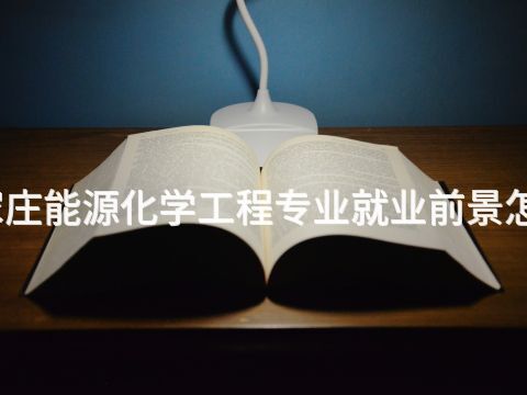 石家莊能源化學工程專業就業前景怎么樣