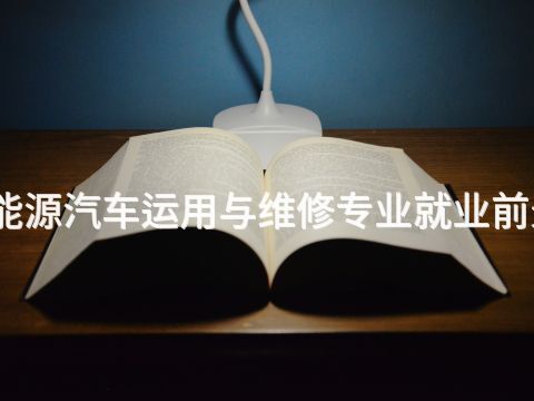 威海新能源汽车运用与维修专业就业前景怎么样