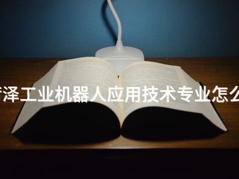 菏泽工业机器人应用技术专业怎么样(图1) 菏泽工业机器人应用技术专业怎么样(图1)