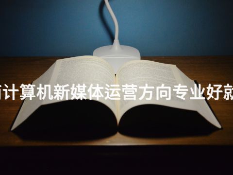 济南计算机新媒体运营方向专业好就业吗