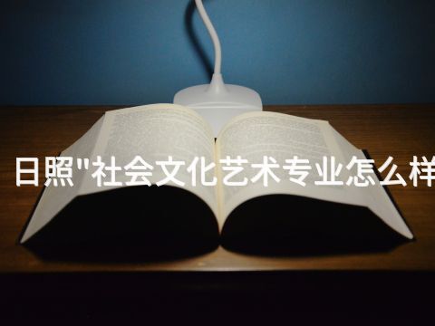 日照"社会文化艺术专业怎么样