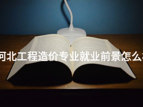 河北工程造价专业就业前景怎么样(图1) 河北工程造价专业就业前景怎么样(图1)