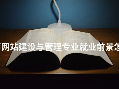 河南网站建设与管理专业就业前景怎么样(图1)