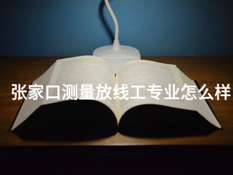 张家口测量放线工专业怎么样(图1)