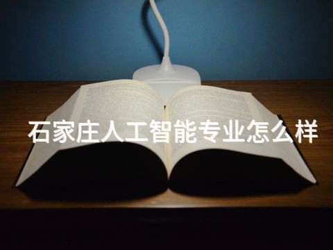 石家庄人工智能专业怎么样