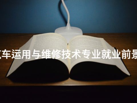 沧州汽车运用与维修技术专业就业前景怎么样