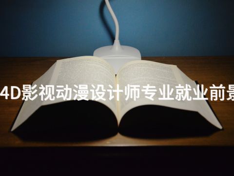 秦皇岛4D影视动漫设计师专业就业前景怎么样(图1) 秦皇岛4D影视动漫设计师专业就业前景怎么样(图1)