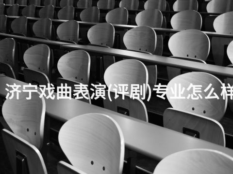 济宁戏曲表演(评剧)专业怎么样