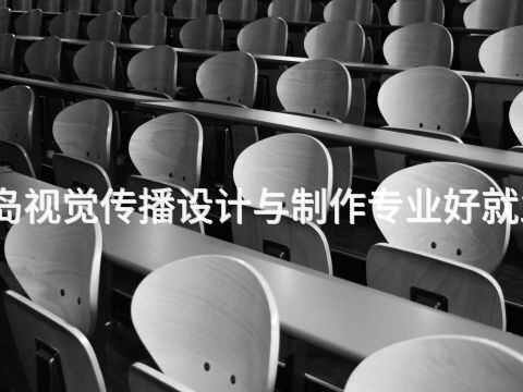 青岛视觉传播设计与制作专业好就业吗(图1) 青岛视觉传播设计与制作专业好就业吗(图1)