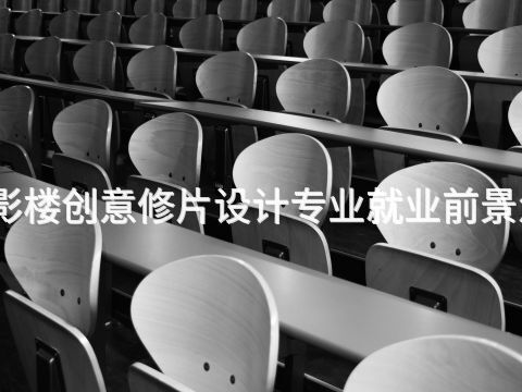 东营影楼创意修片设计专业就业前景怎么样