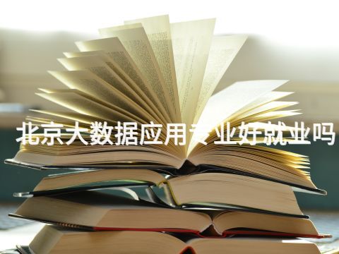 北京大数据应用专业好就业吗