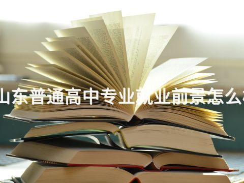山东普通高中专业就业前景怎么样(图1) 山东普通高中专业就业前景怎么样(图1)
