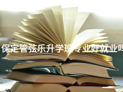 保定管弦乐升学班专业好就业吗