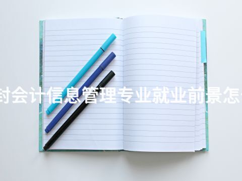 开封会计信息管理专业就业前景怎么样