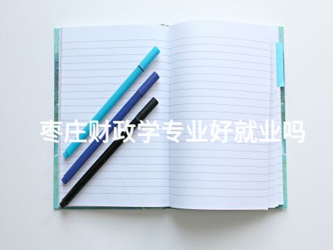 枣庄财政学专业好就业吗