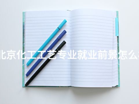 北京化工工艺专业就业前景怎么样