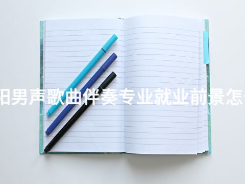 洛阳男声歌曲伴奏专业就业前景怎么样