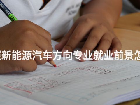 日照新能源汽车方向专业就业前景怎么样(图1) 日照新能源汽车方向专业就业前景怎么样(图1)
