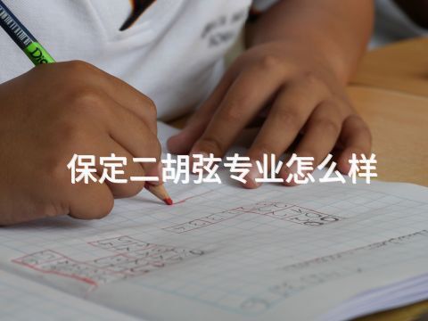 保定二胡弦专业怎么样(图1)