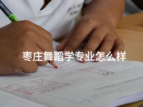 枣庄舞蹈学专业怎么样