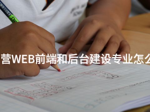 东营WEB前端和后台建设专业怎么样