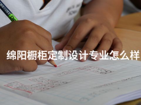 绵阳橱柜定制设计专业怎么样