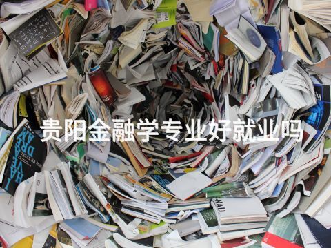 贵阳金融学专业好就业吗