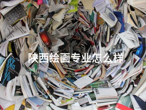 陕西绘画专业怎么样