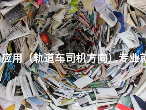 河南机电技术应用（轨道车司机方向）专业就业前景怎么样