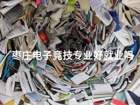 枣庄电子竞技专业好就业吗