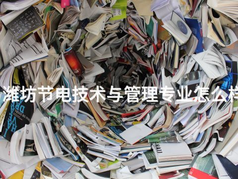 潍坊节电技术与管理专业怎么样(图1) 潍坊节电技术与管理专业怎么样(图1)