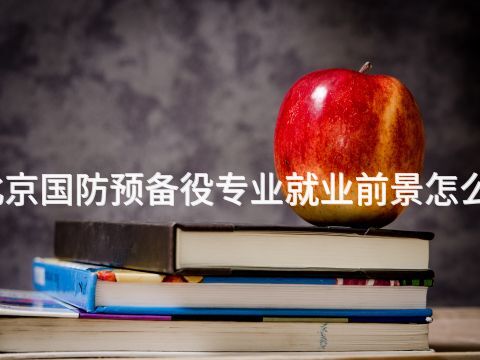 北京国防预备役专业就业前景怎么样
