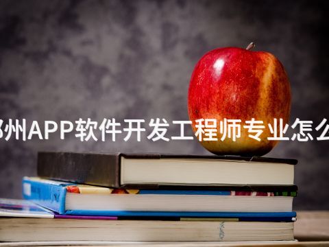 郑州APP软件开发工程师专业怎么样(图1)
