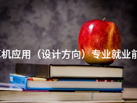 开封计算机应用（设计方向）专业就业前景怎么样