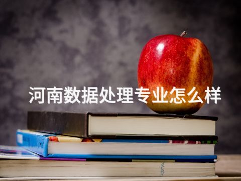 河南数据处理专业怎么样