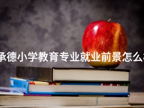 承德小学教育专业就业前景怎么样