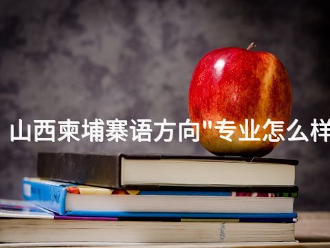 山西柬埔寨语方向"专业怎么样