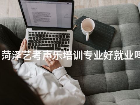 菏澤藝考聲樂培訓專業好就業嗎