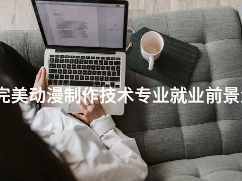 潍坊完美动漫制作技术专业就业前景怎么样