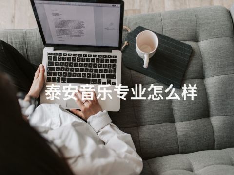 泰安音乐专业怎么样