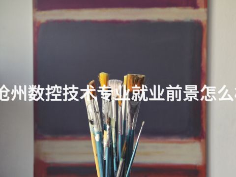 滄州數控技術專業就業前景怎么樣(圖1) 滄州數控技術專業就業前景怎么樣(圖1)