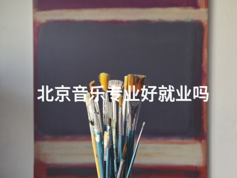 北京音乐专业好就业吗(图1) 北京音乐专业好就业吗(图1)