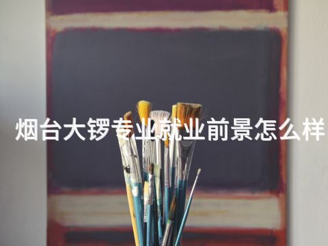 煙臺大鑼專業(yè)就業(yè)前景怎么樣(圖1) 煙臺大鑼專業(yè)就業(yè)前景怎么樣(圖1)