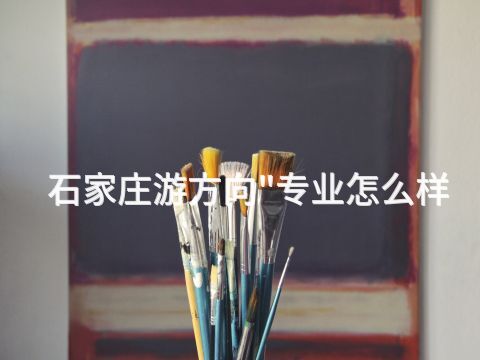 石家庄游方向"专业怎么样