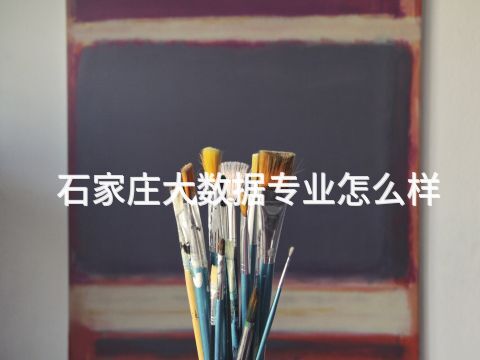 石家庄大数据专业怎么样