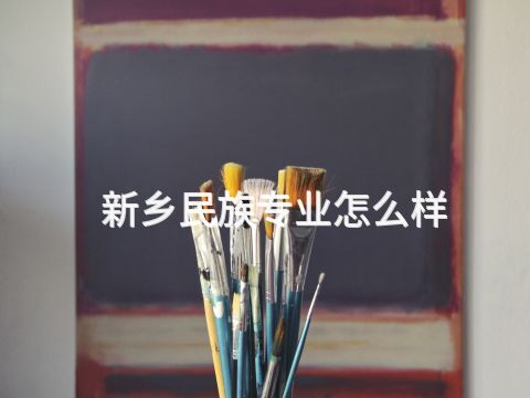 新乡民族专业怎么样(图1) 新乡民族专业怎么样(图1)