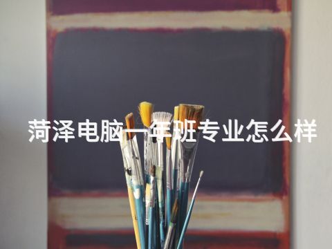 菏泽电脑一年班专业怎么样(图1)