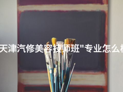天津汽修美容技师班"专业怎么样