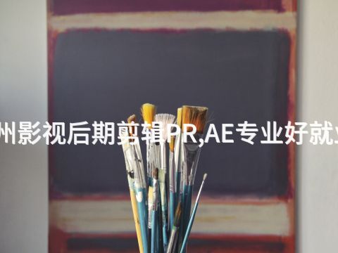 沧州影视后期剪辑PR,AE专业好就业吗(图1) 沧州影视后期剪辑PR,AE专业好就业吗(图1)